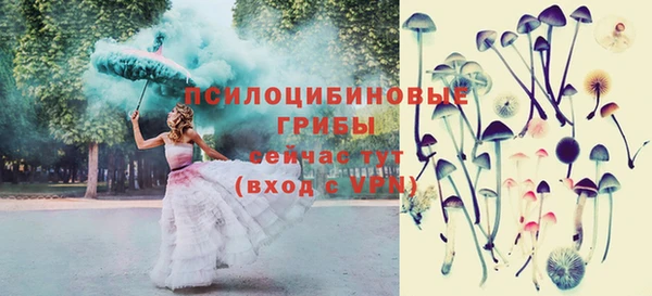 дурь Строитель