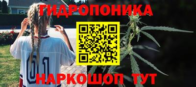 молекула духа Гагарин