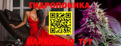apvp Гатчина