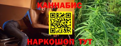 apvp Гатчина