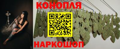 молекула духа Гагарин