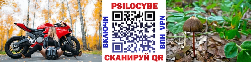 Псилоцибиновые грибы мицелий  Переславль-Залесский 